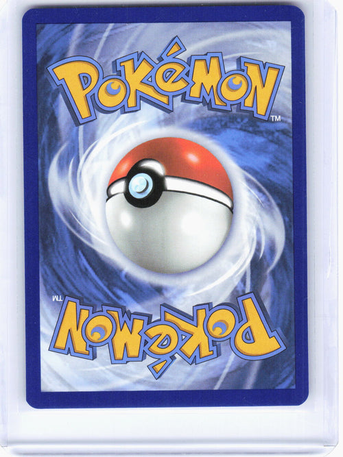 2024 Pokemon—Charizard EX #SVP EN 074 Scarlet & Violet—Black Star Promo