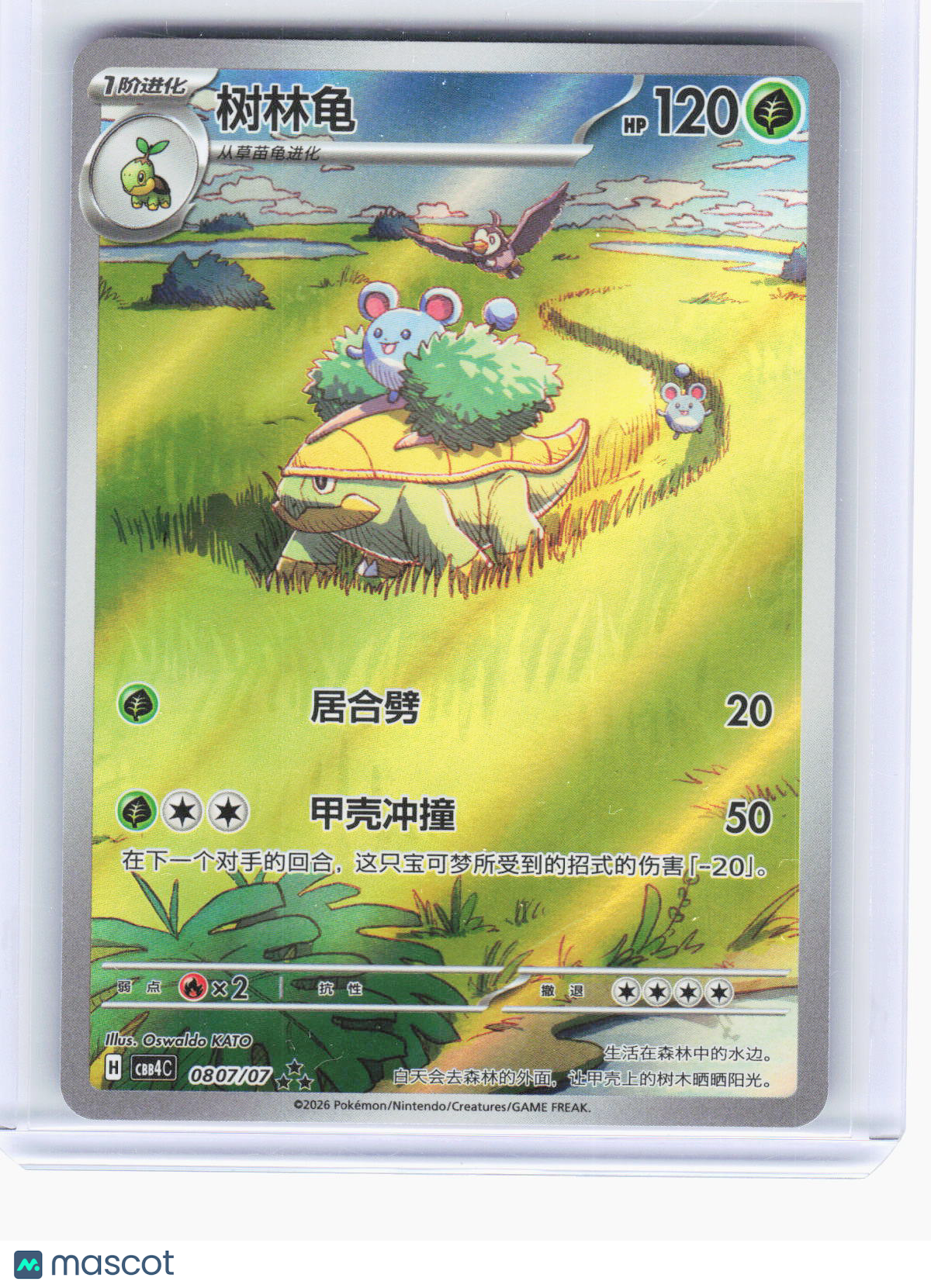 2026 Pokemon—Grotle #807/7 Gem Pack 4—Secret Rare Simplified Chinese