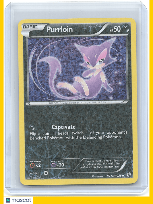 2013 Pokemon Purrloin #RC13/RC25