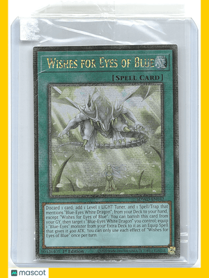 Descriptive image text