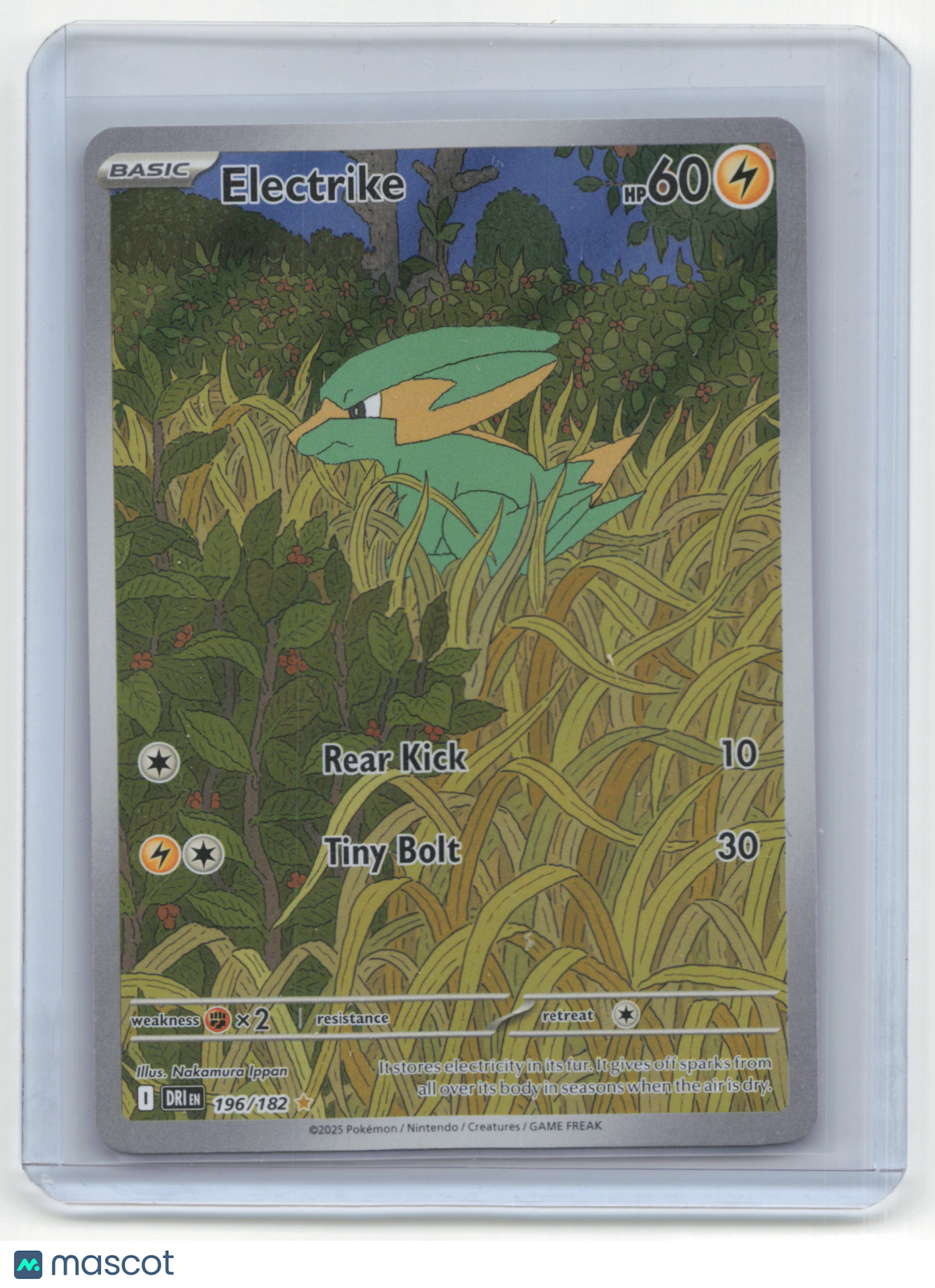 2025 Pokemon TCG Electrike Destined Rivals #196/182