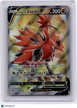 Descriptive image text