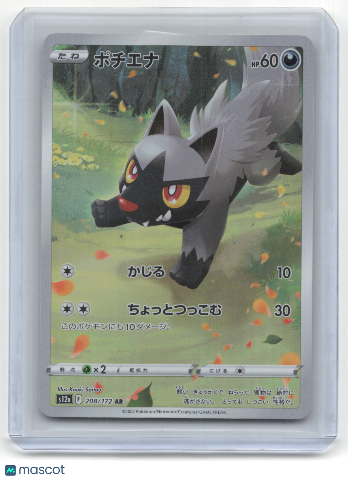 2022 Pokemon TCG Poochyena Vstar Universe #208/172 Japanese