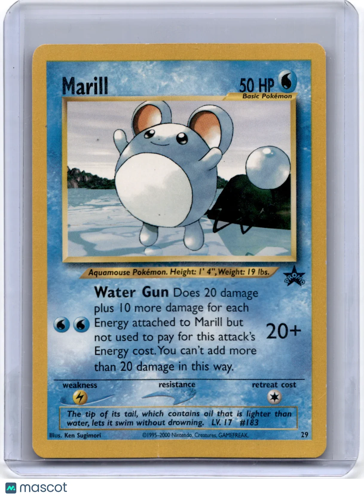 2000 Pokemon TCG Marill WOTC Black Star promos #29 English - Papa Joey's Collectibles