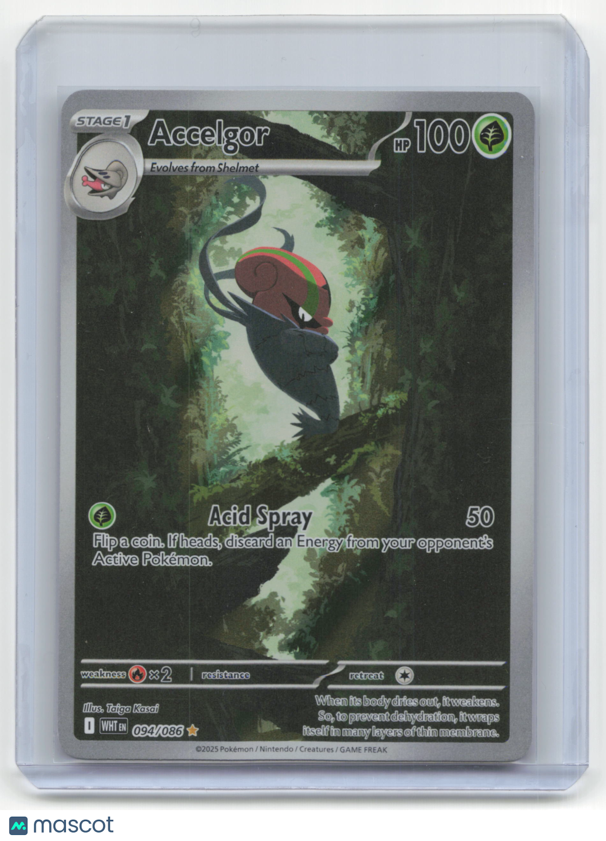 2025 Pokemon Accelgor White Flare #094/086