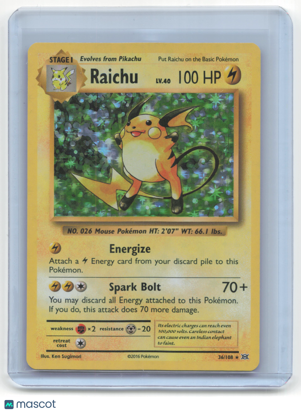 2016 Pokemon TCG Raichu XY Evolutions #36/108