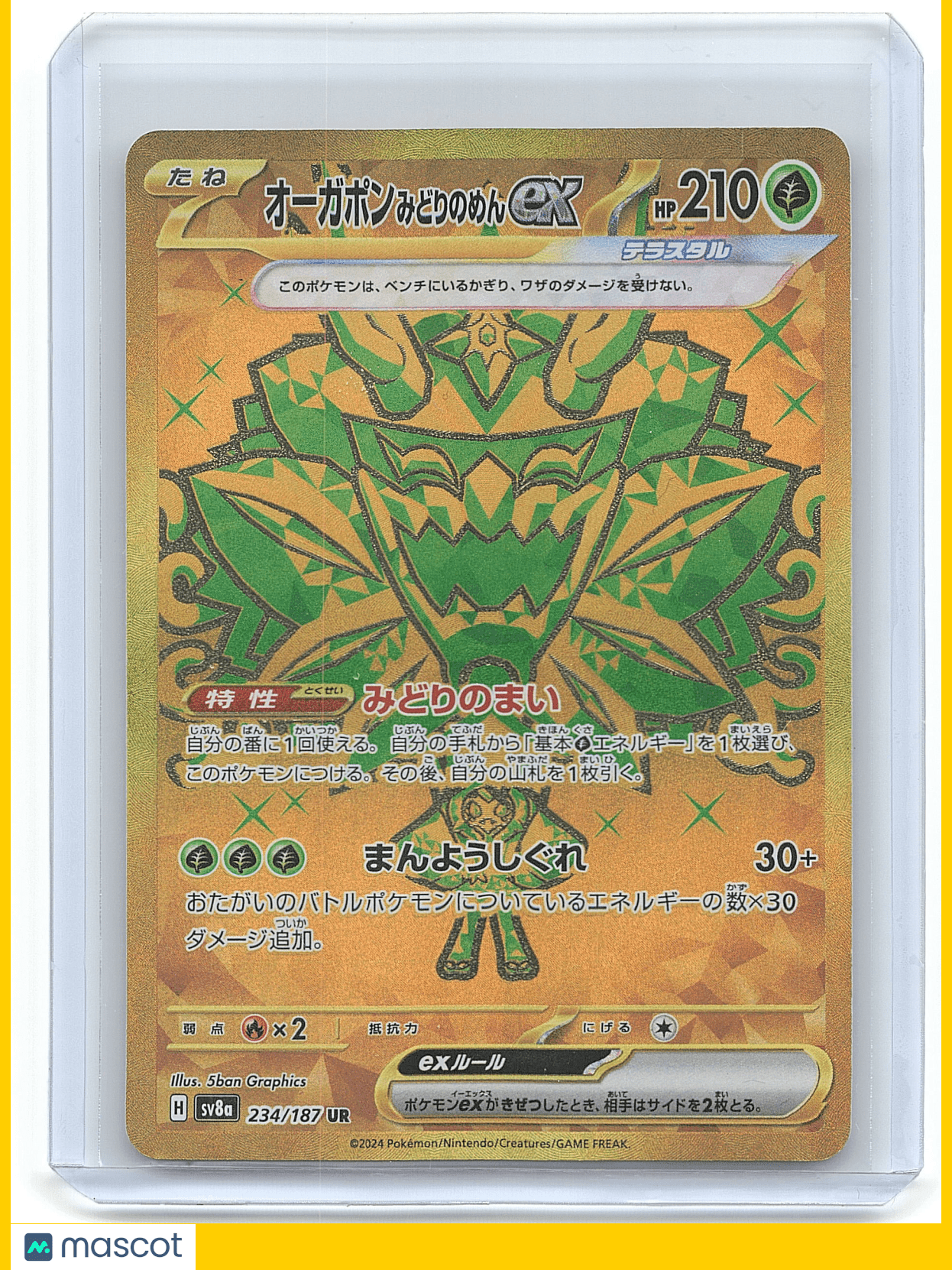 2015 Pokemon Groudon #XY5 86/160 Japanese