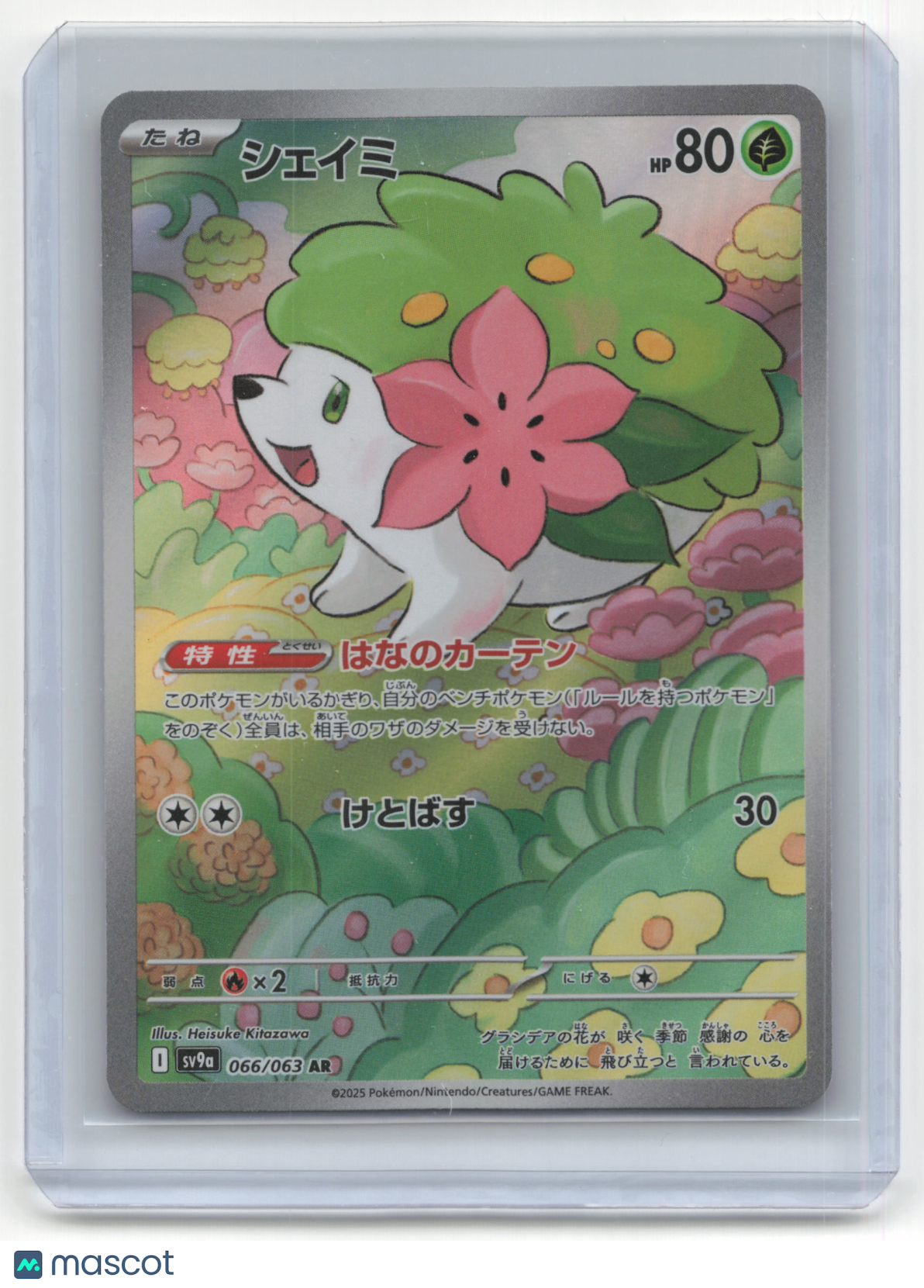2025 Pokemon Shaymin Heat Wave Arena #066/063 Japanese