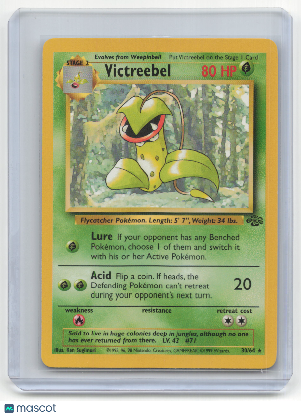1999 Pokemon TCG Victreebel Jungle #30/64 Lightly Played - Papa Joey's Collectibles