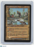 1999 Magic: The Gathering—Yavimaya Hollow #143 Urza's Destiny—Rare Foil [LP]