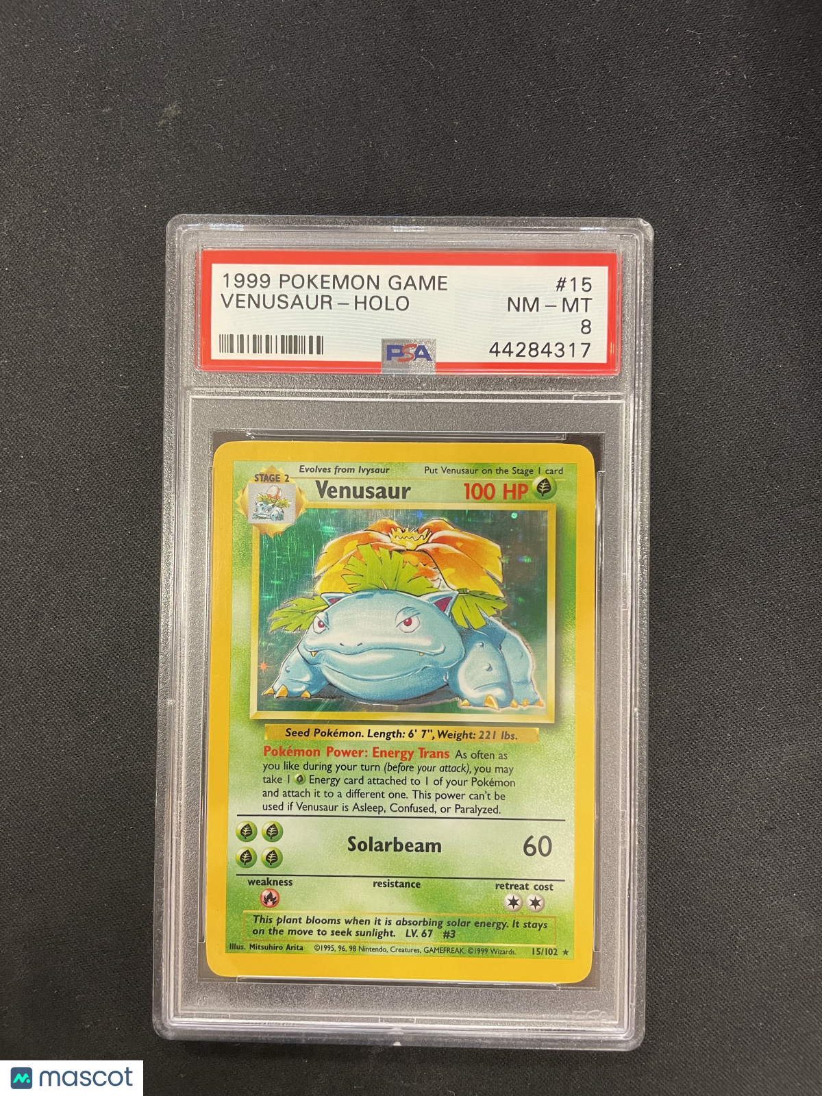 Venusaur 1999 Pokemon Holo #15 PSA 8
