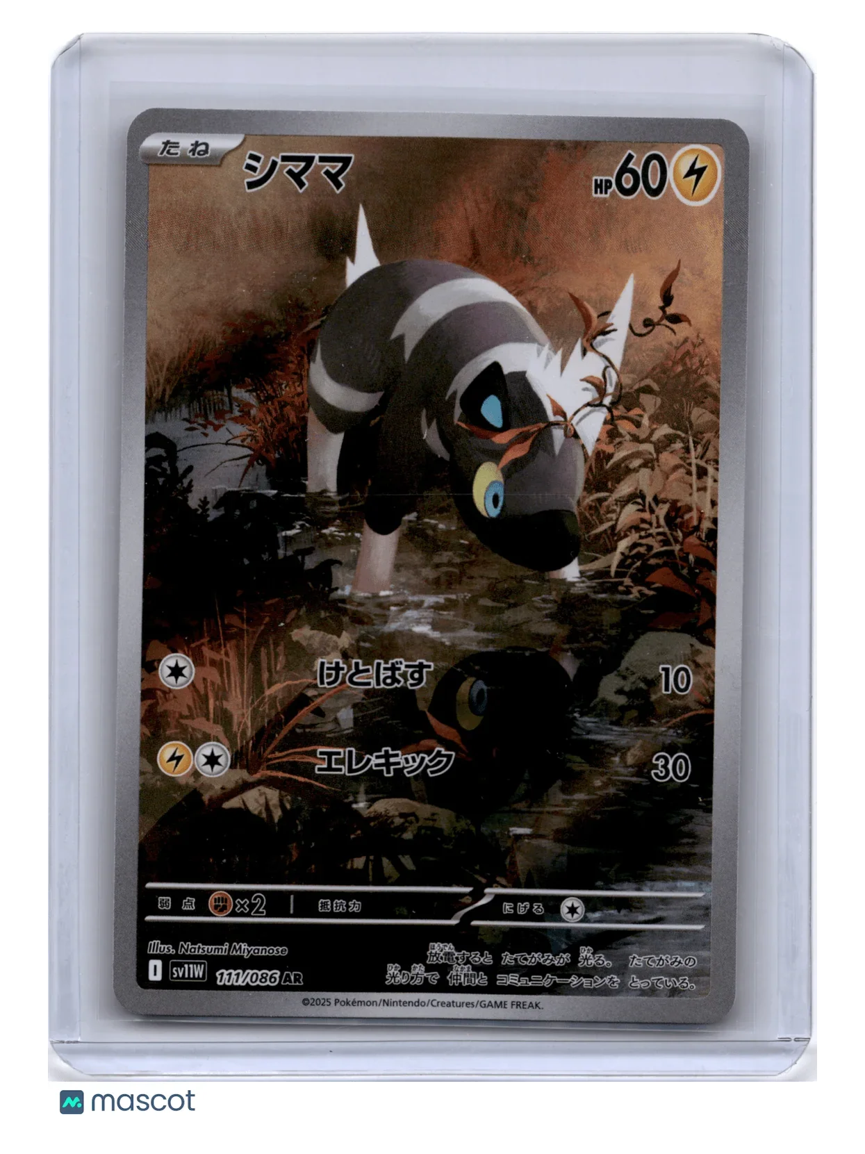 2025 Pokemon Blitzle White Flare #111/086 Japanese - Papa Joey's Collectibles