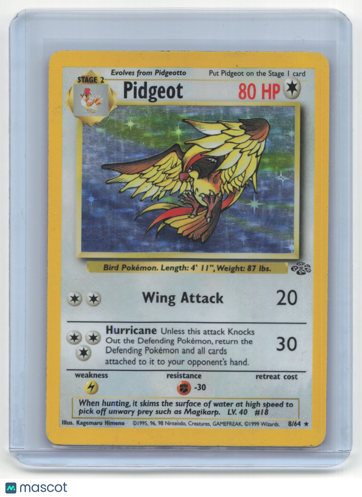 1999 Pokemon TCG Pidgeot Jungle #8/64 Holo Unlimited Heavy Played