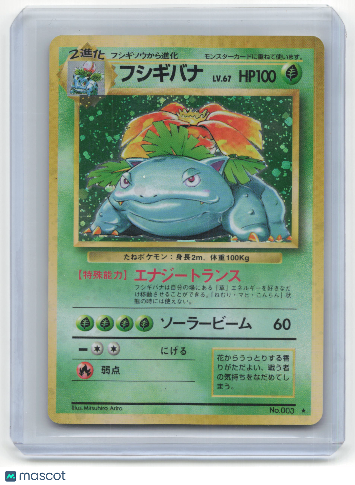 1996 Pokemon Venusaur Expansion Pack #003 Japanese Holo