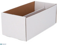 2022 BCW Graded Shoe Box 2 Row - Papa Joey's Collectibles