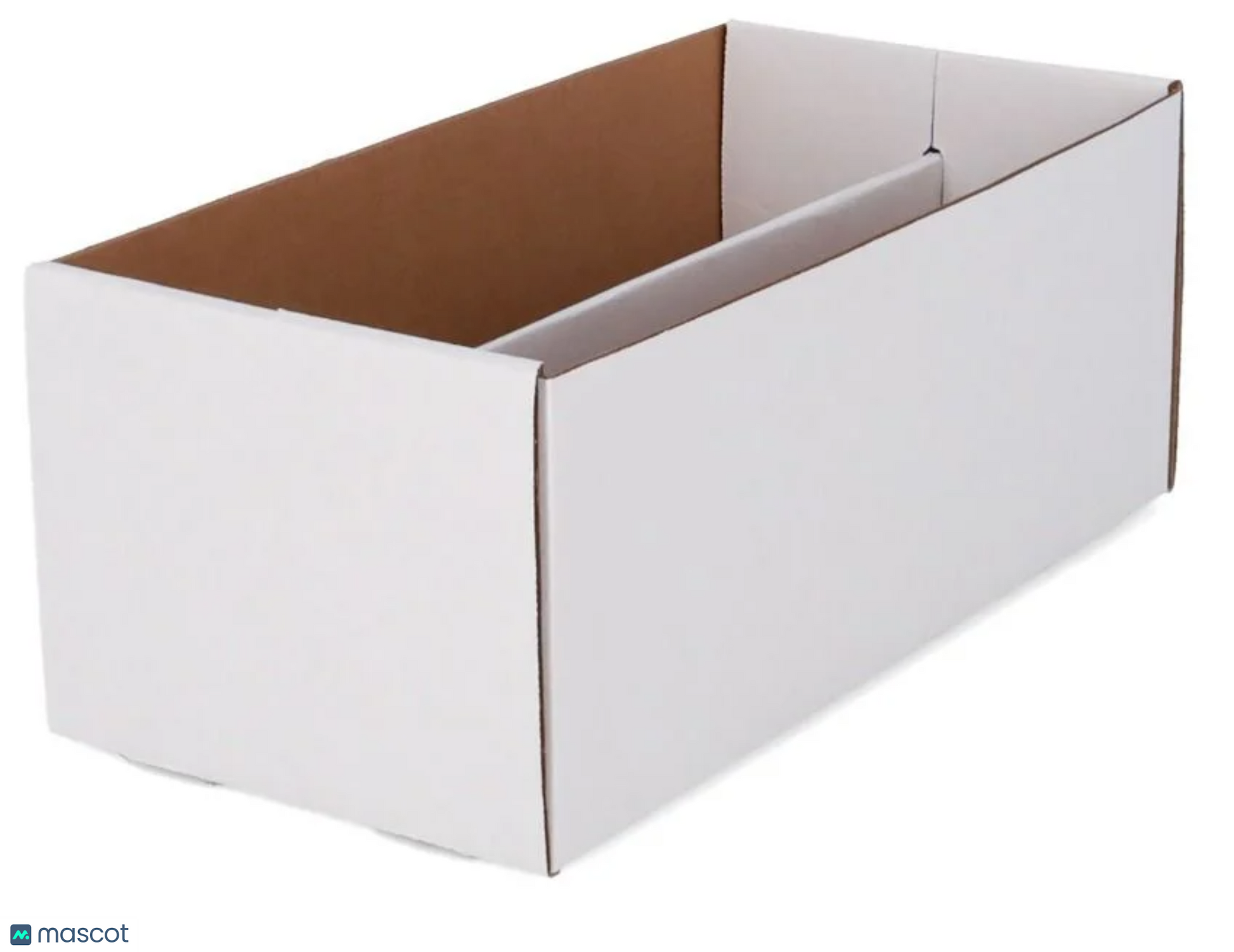 2022 BCW Graded Shoe Box 2 Row - Papa Joey's Collectibles