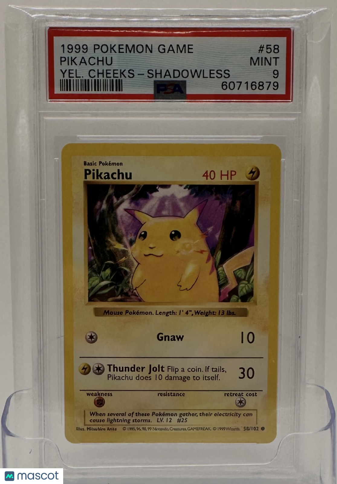 1999 Pokemon—Pikachu #58 Base Set (Shadowless)—Common PSA 9