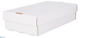 2022 BCW Storage 3000 Ct Super Shoe Storage Box