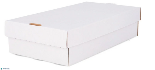 2022 BCW Storage 3000 Ct Super Shoe Storage Box