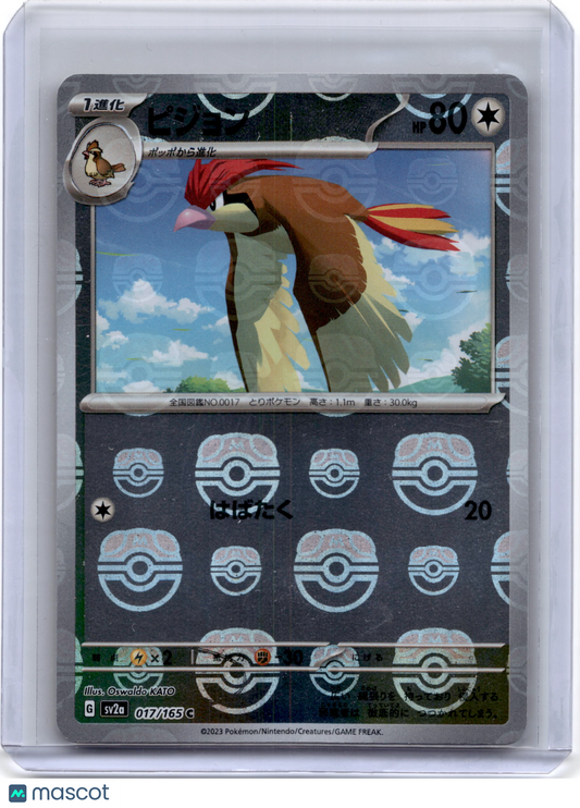 2023 Pokemon TCG Pidgeot Scarlet & Violet 151 #017/165 Masterball