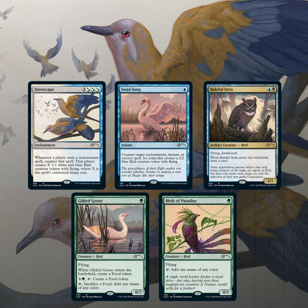 Magic: The Gathering Secret Lair Drop: Ornithological Studies (Non-Foil Edition)