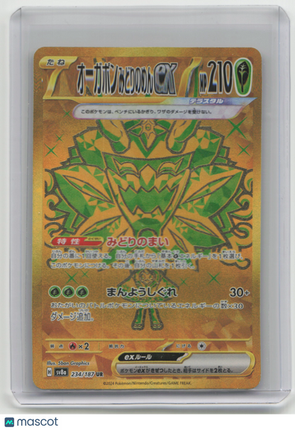 2024 Pokemon—Ogerpon #234/187 Terastal Fest EX— Japanese