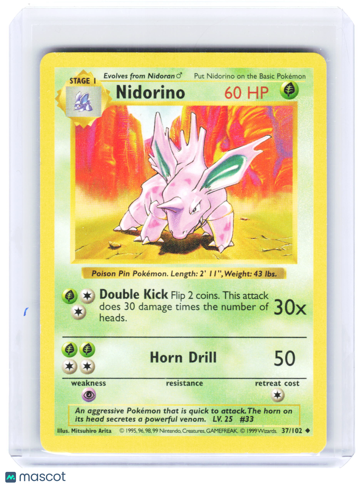 1999 Pokemon—Nidorino #37/102 Base Set (Shadowless)—Non-Foil [Lightly Played]