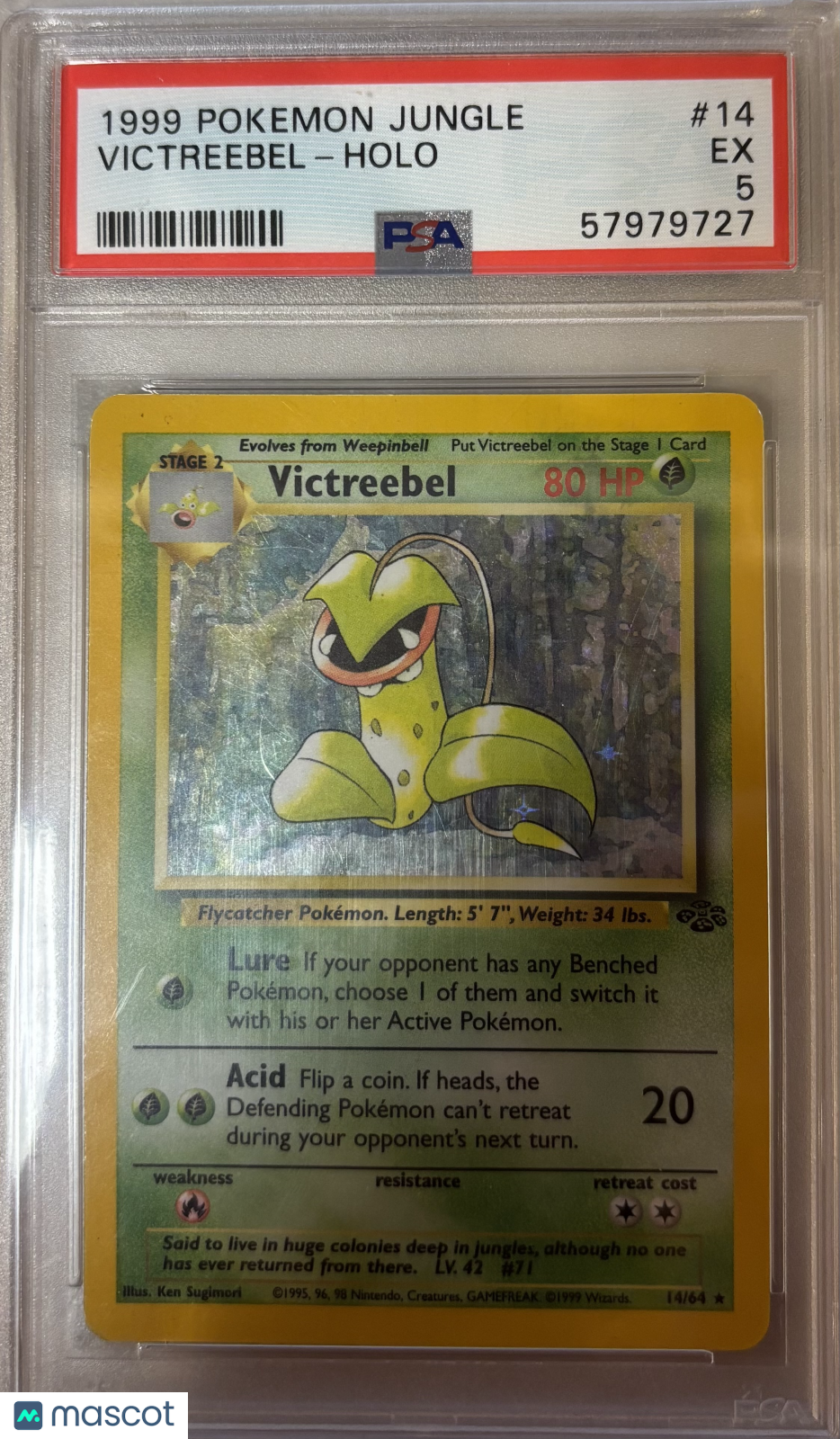 Victreebel 1999 Pokemon Jungle #14 Holo PSA 5
