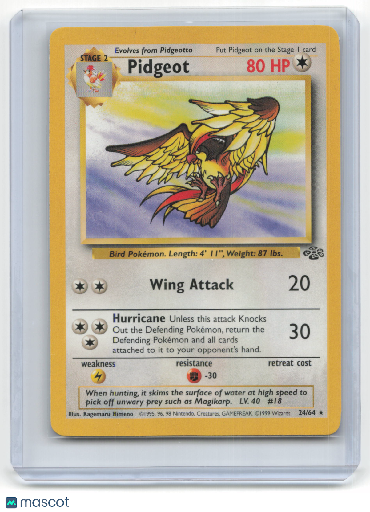1999 Pokemon Pidgeot Jungle #24/64 Basic