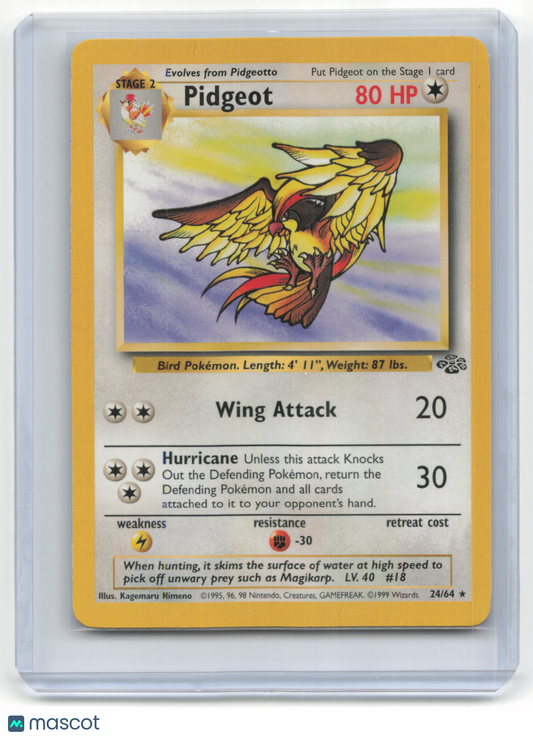 1999 Pokemon Pidgeot Jungle #24/64 Basic