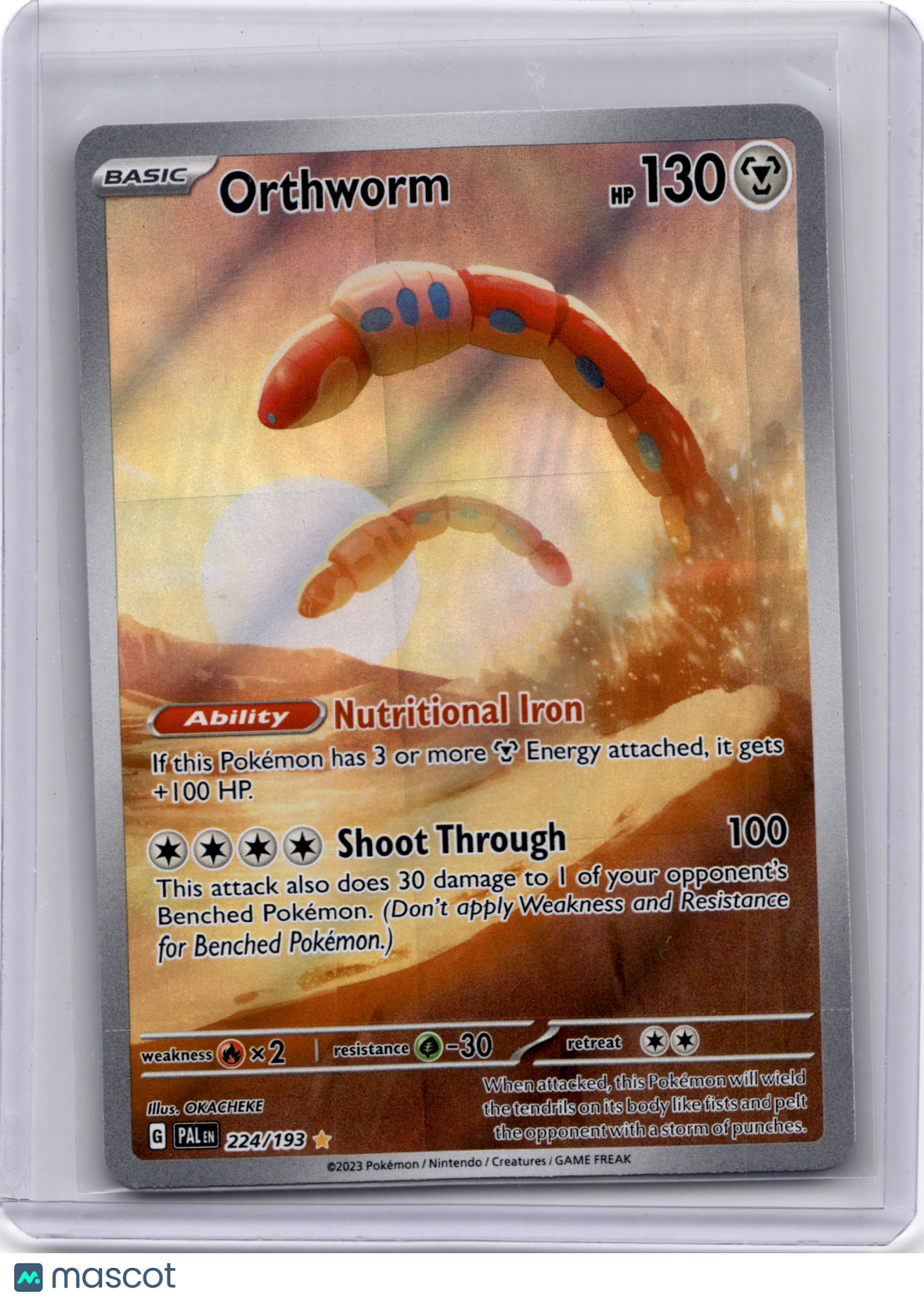 2023 Pokemon TCG Orthworm Paldea Evolved #224/193 - Papa Joey's Collectibles