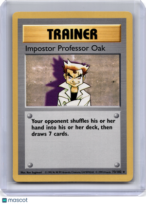 Descriptive image text