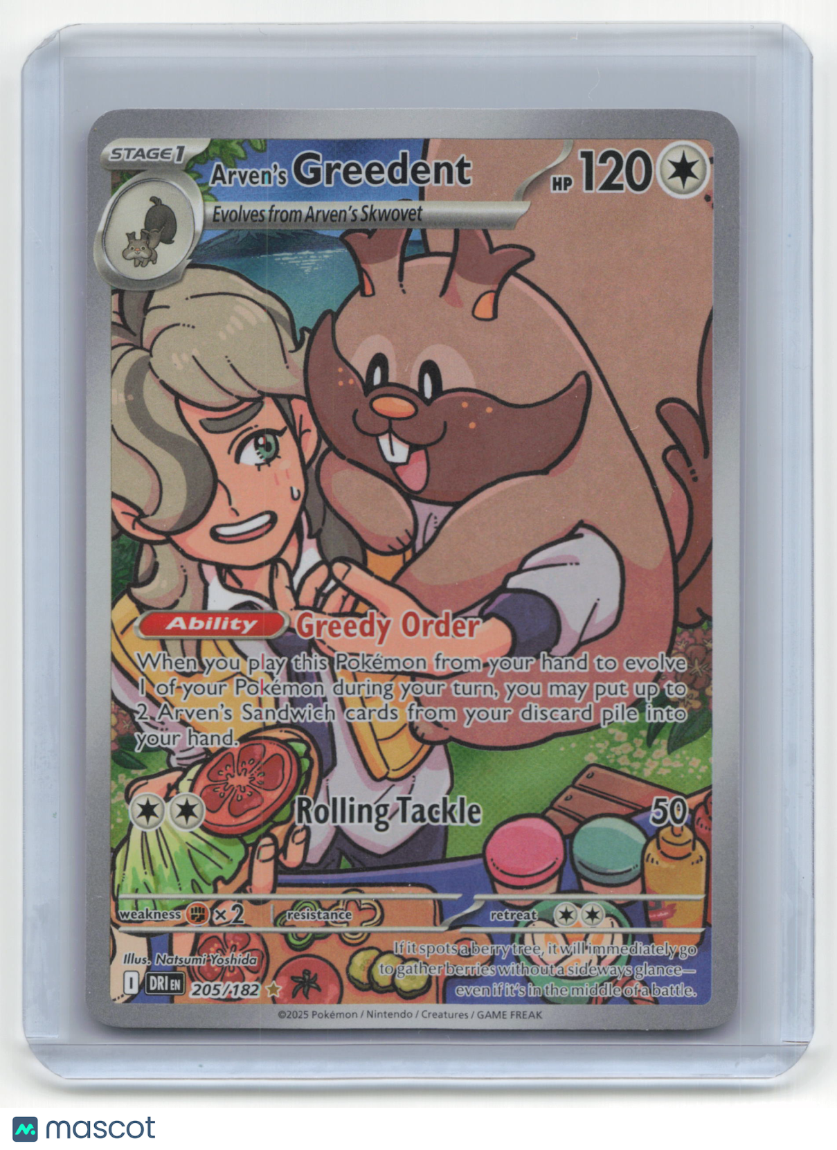 2025 Pokemon TCG Arven's Greedent Destined Rivals #205/182