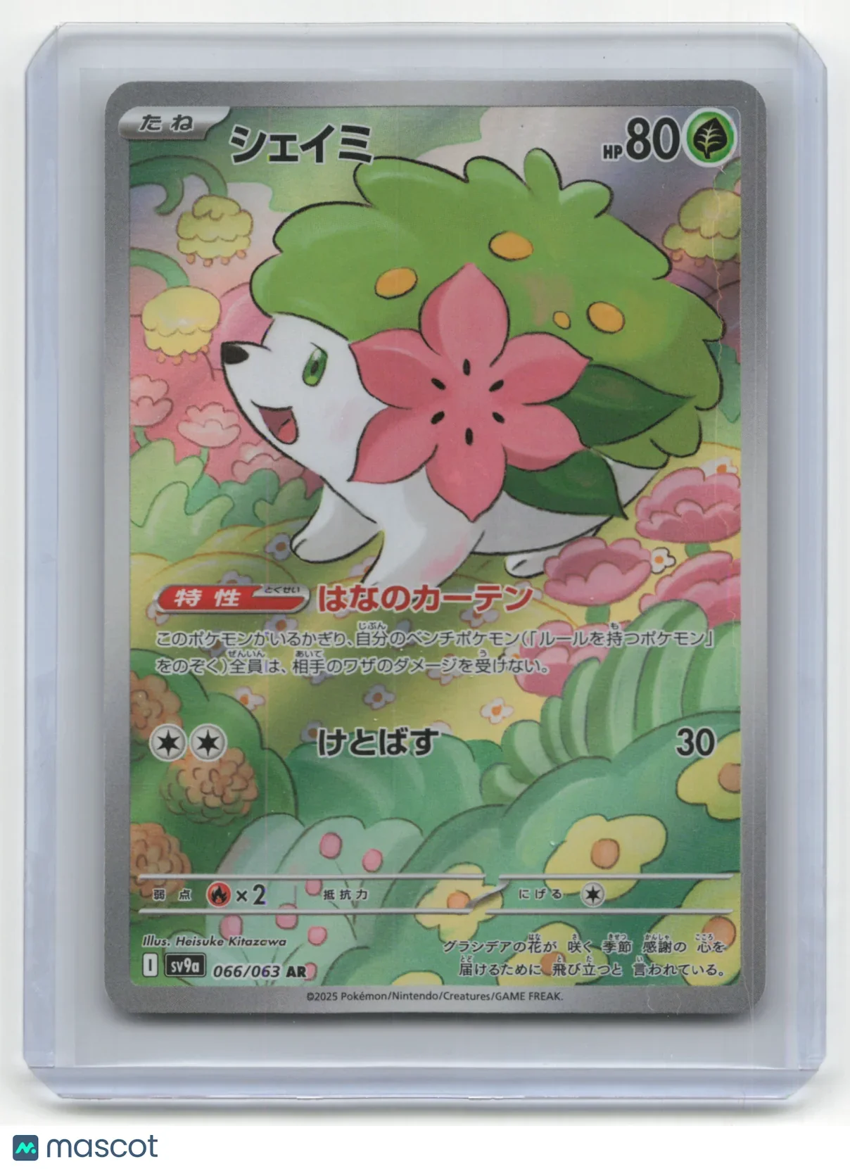 2023 Pokemon Shaymin Heat Wave Arena #066/063 Japanese - Papa Joey's Collectibles
