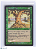 2001 Magic: The Gathering—Moment's Peace #251/350 Odyssey—Common Foil