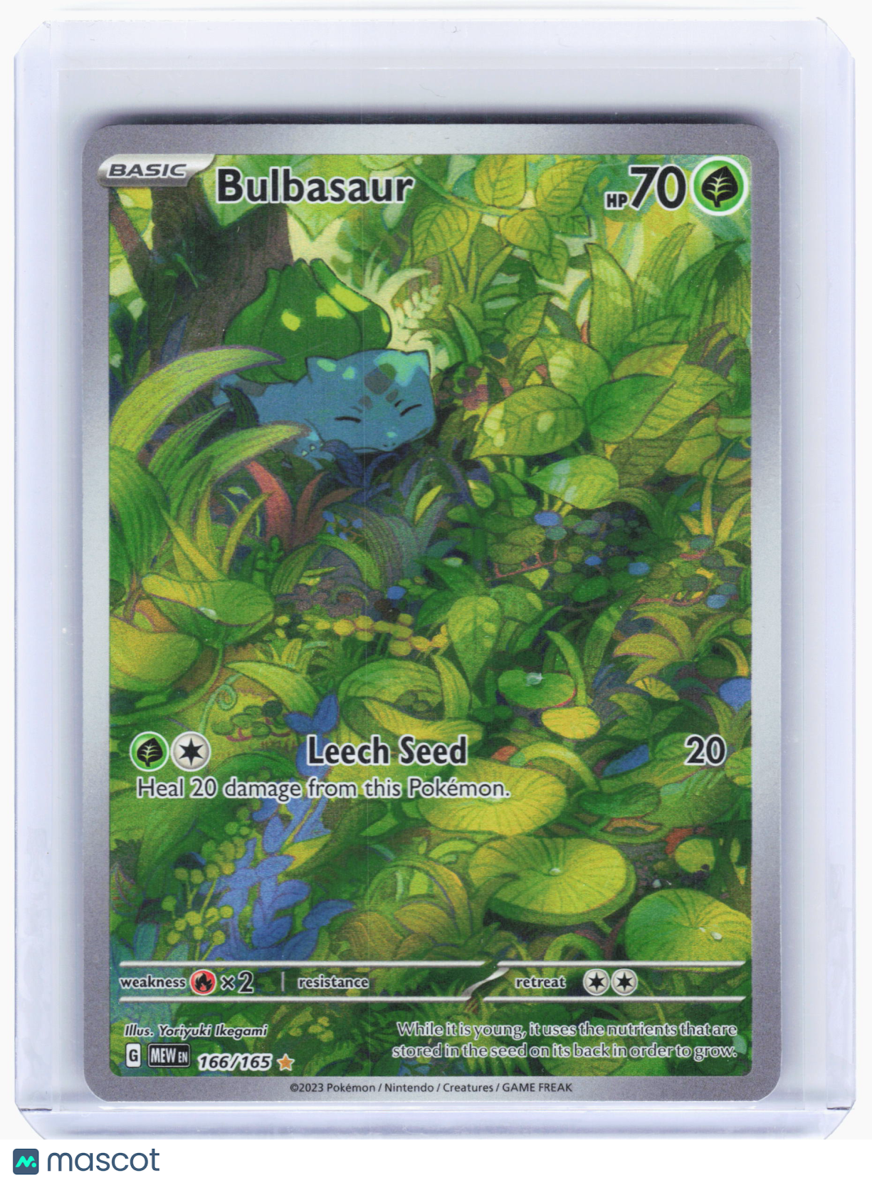 2023 Pokemon—Bulbasaur #166/165 Scarlet & Violet 151—Illustration Rare Foil