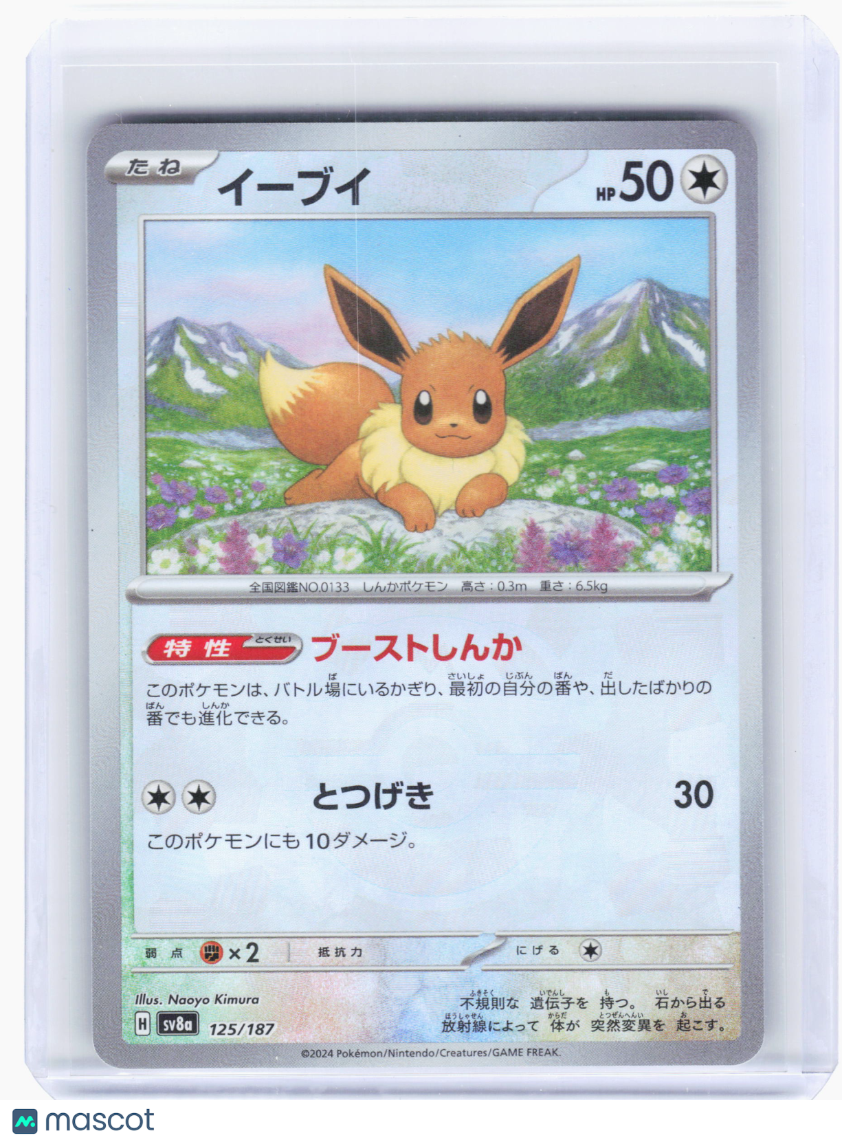 2024 Pokemon—Eevee (Master Ball) #125/187 Sv8a: Terastal Fest Ex—Holo Japanese