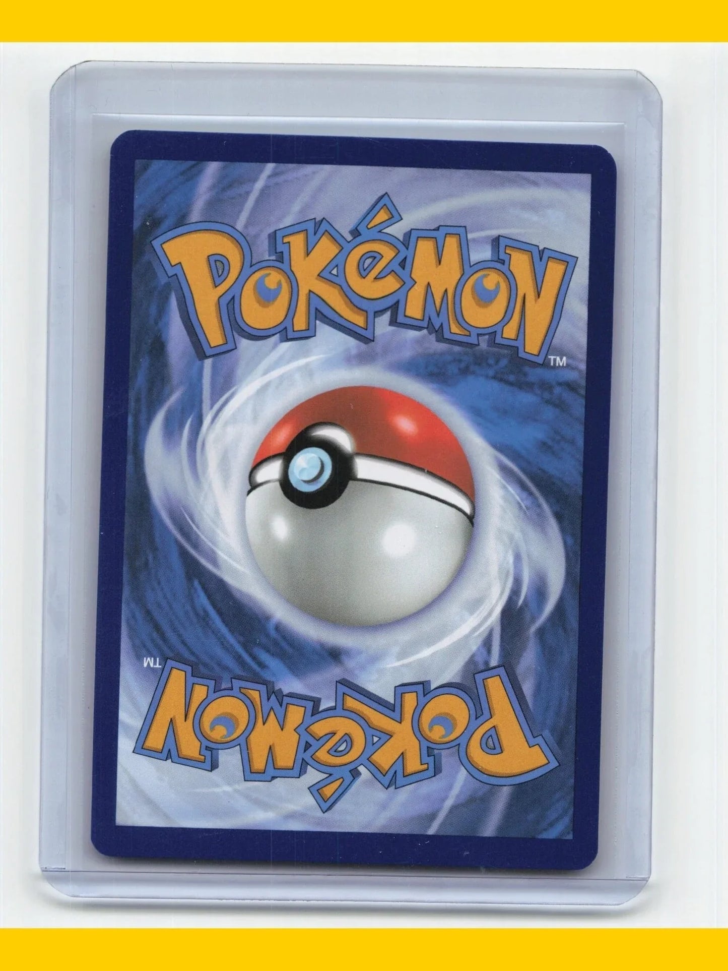 2023 Pokemon Terapagos Scarlet & Violet #SVP165 Promo - Papa Joey's Collectibles