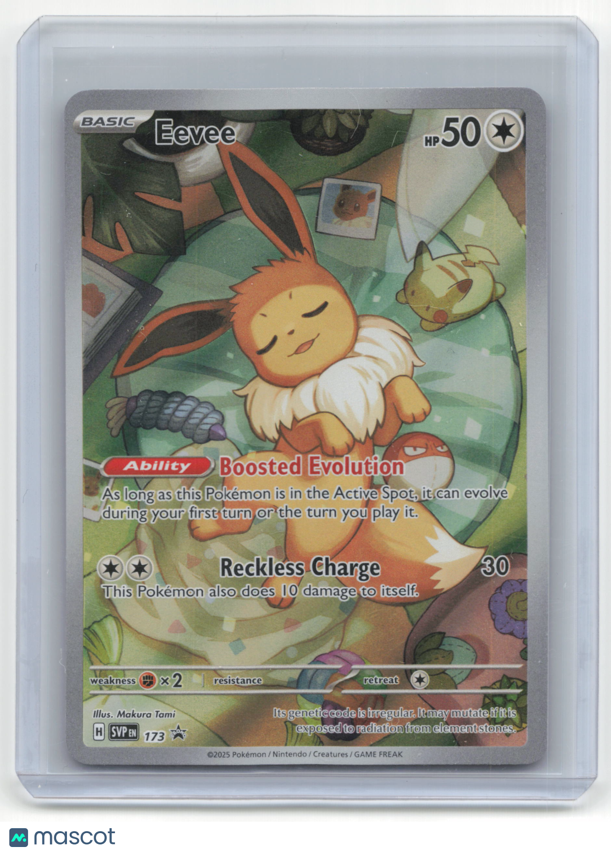 2025 Eevee Pokemon Promos #SVP EN 173 Near Mint
