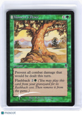 2001 Magic: The Gathering—Moment's Peace #251/350 Odyssey—Common Foil