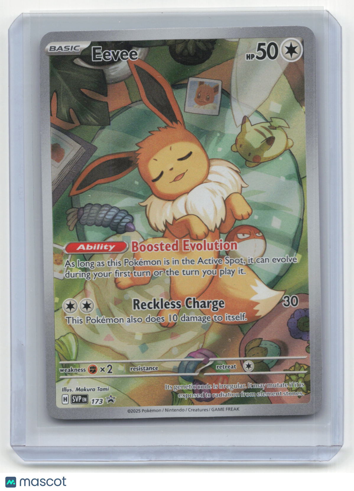 2025 Eevee Pokemon Promos #SVP EN 173 Near Mint