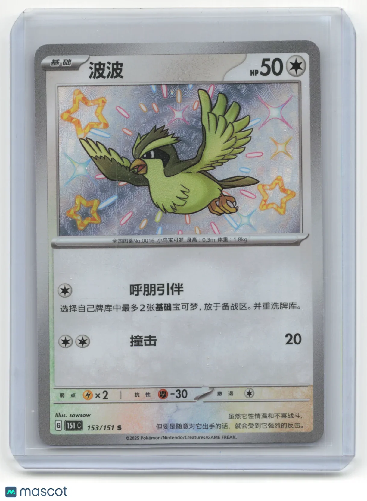 2025 Pokemon TCG Pidgey Simplified Chinese 151 #153/151 Chinese - Papa Joey's Collectibles