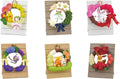 Re-Ment Pokémon Wreath Collection Happiness Wreath Blind Box