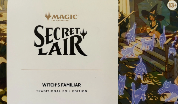 Magic: TG Secret Lair Drop: Witch's Familiar