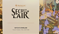 Magic: TG Secret Lair Drop: Witch's Familiar — Traditional Foil Edition