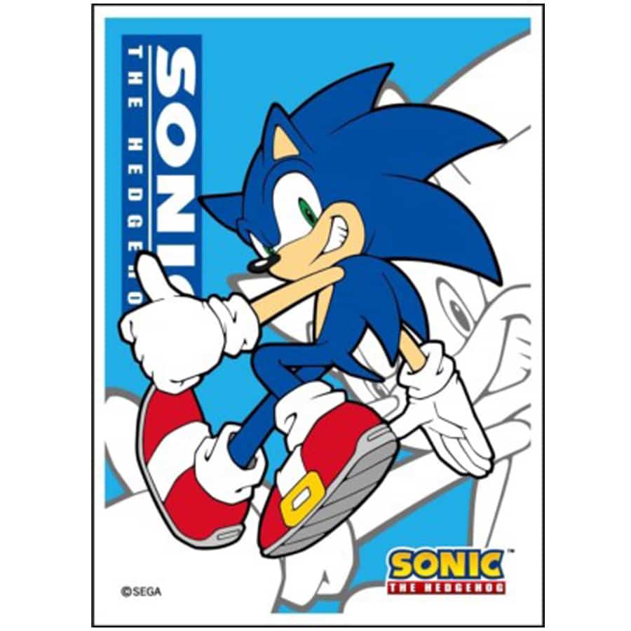 Sonic The Hedgehog Ensky Sleeves