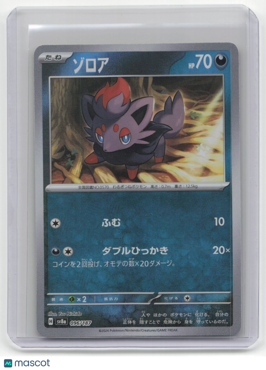 2024 Pokemon Zorua Terastal Fest EX #096/187 Japanese MasterBall Holo