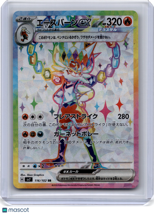 Descriptive image text