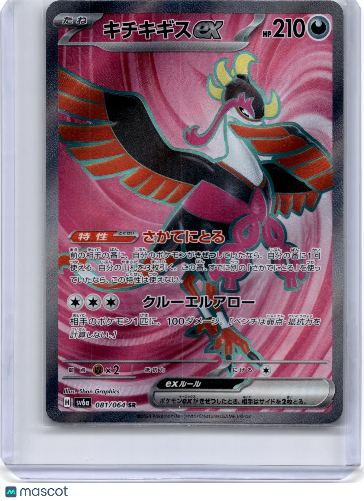 2023 Pokemon Ho-Oh ex Scarlet & Violet Night Wanderer #081/64 Japanese - Papa Joey's Collectibles