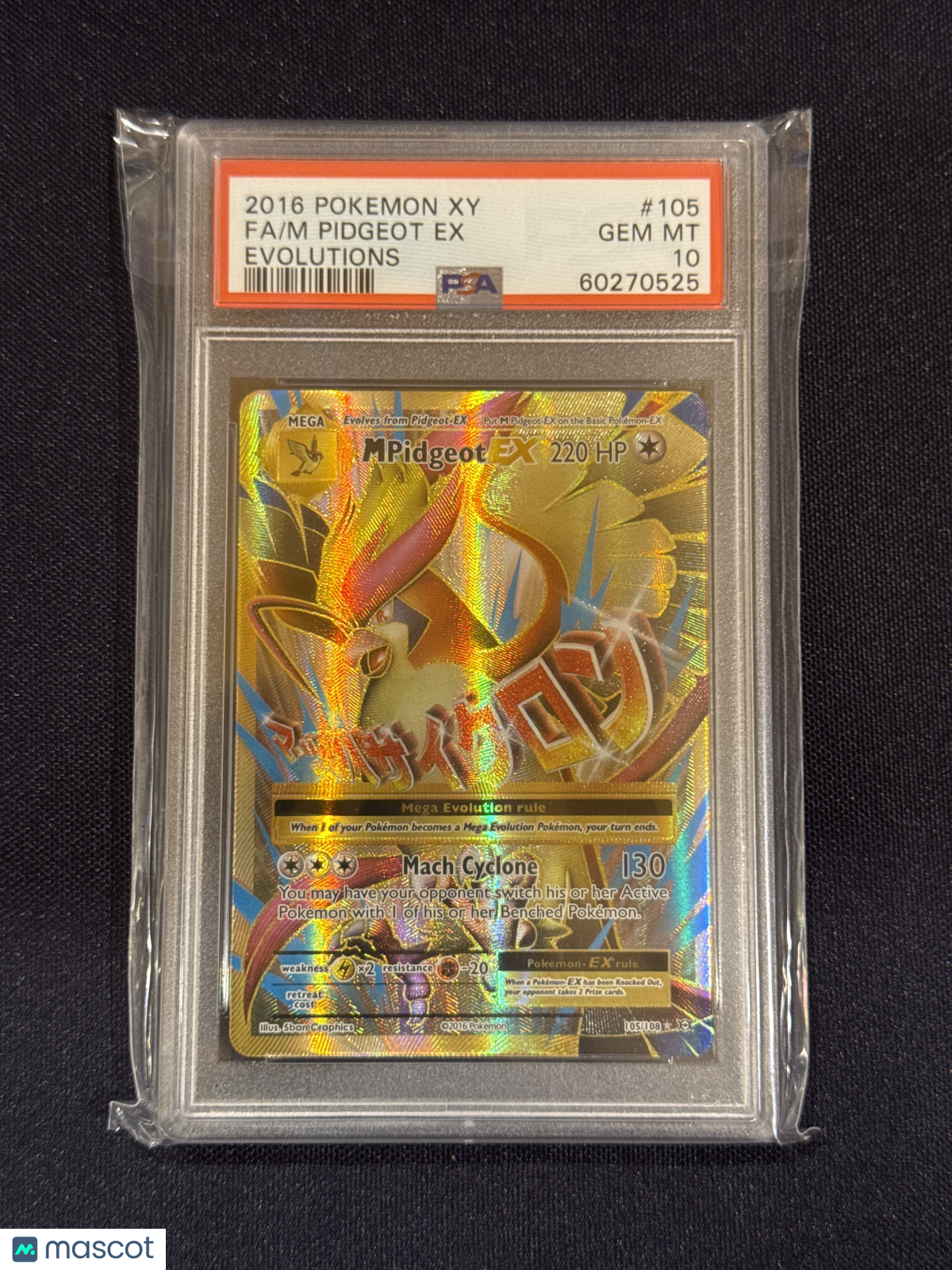 —M Pidgeot EX #105 XY Evolutions 2016 Pokemon Xy Evolutions— Fa Evolutions PSA 10